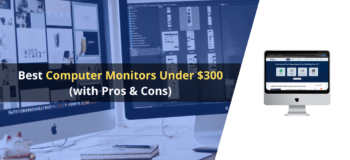 best monitor under $300